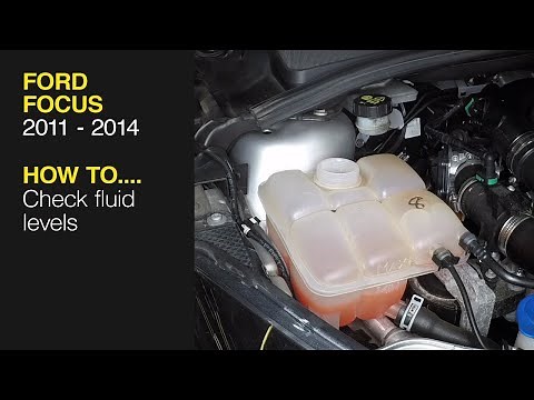 How to check the fluid levels on a Ford Focus 2011 to 2014