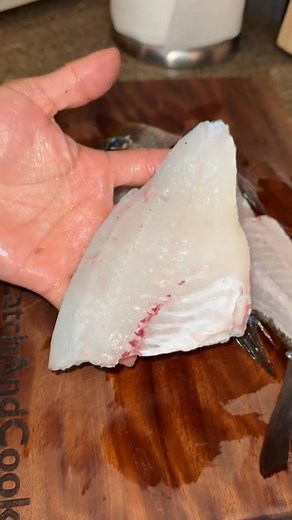 11K views · 44 reactions | Let’s make some dinner! First made some sashimi, and then fried some of the fish. The head and collar was later used to make Arajiru or miso soup. #spearfishing #catchandcook #seafood #fishing #cooking | Cabeça de Lego | Facebook