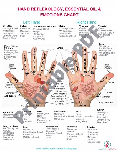 Hand Reflexology Chart PDF Printable - Etsy
