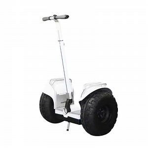 [Hot Item] Two Wheel Self Balance Electric Chariot Covered Electric Scooter Patrol Scooter