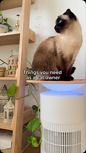 Part 3 | AD 🌬️Every cat owner needs a Switchbot purifier! 🔗 in bio 🛍️ use code PURITABLE for💰off! Purrfect for Allergies, Fur & Odours @theswitchbot #switchbot #airpurifier | Thatcatdobby