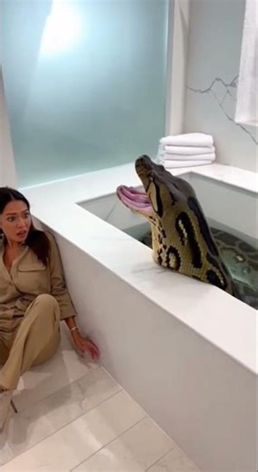 “1-Second Water Touch = Real Anaconda”