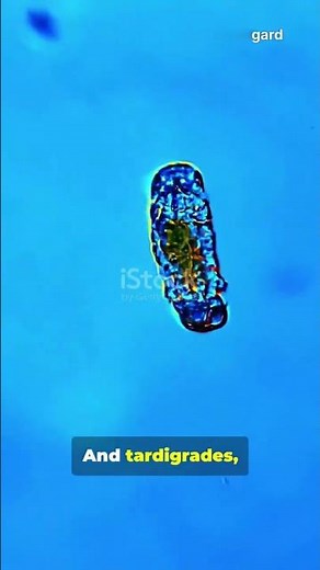 Can Humans Get Superpowers from Animals 🤯 #facts #shorts