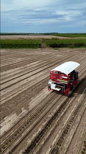 Automatic transplanter DYNAMIC-2 row self-propelled