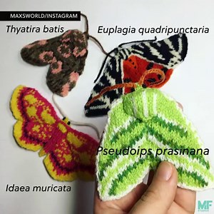 443K views · 2.1K reactions | Max Alexander knits giant moths based on real moth species. See more here — Max's World | Mental Floss | Facebook