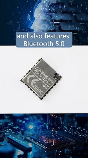 2.4, 5G Dual-Band Module BW2 07S