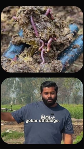 Beds mai paani kab dena chaiye? 💦 #farming #organicagriculture