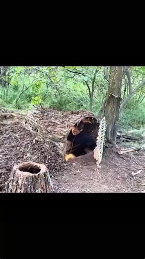 I Spent 3 Days in a High Tech Underground Base...#survival #bushcraft #build