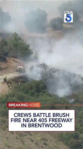Crews battle brush fire near 405 Freeway in Brentwood