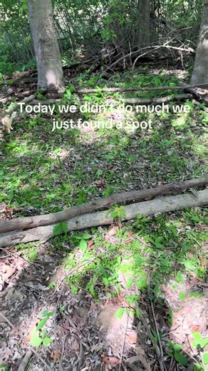 Summer Fort Building: Day One Progress
