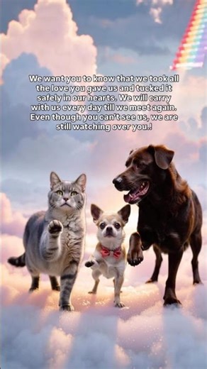 Tribute Tails: Ceaser, Tiny Beans and Java