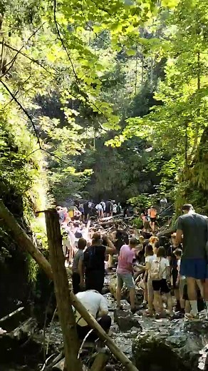 Slovensky raj - Suchá Belá 😱 #ThisIsSlovakia Video: Viera Janoštiakova #slovenskyraj #slovensko #turistika #paradise #omg #hory #priroda #nature | This Is Slovakia