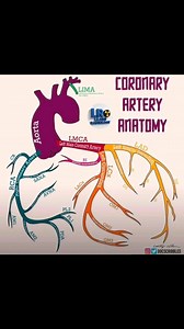24K views · 184 reactions | #CT #CTScan #heart #angio | CT Scan and MRI study | Facebook