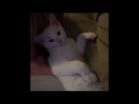 Billie Calvinn - "lose me" OFFICIAL VERSION