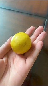 2.5K views | Client Testimonials - Lemon Ritual A client who did the...