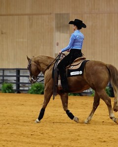 Auburn Equestrian on Reels