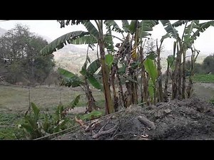 DMC piling ka machine aur kaise Kaam Ho Raha Hai DMC Hua Dekhen