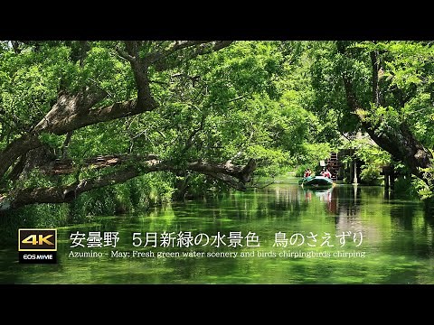 4K + natural environmental sounds / Azumino in May / Fresh green water scenery / Birds chirping
