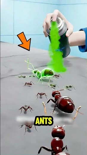 STOP! Spraying Ants is Making it WORSE 🐜🚫