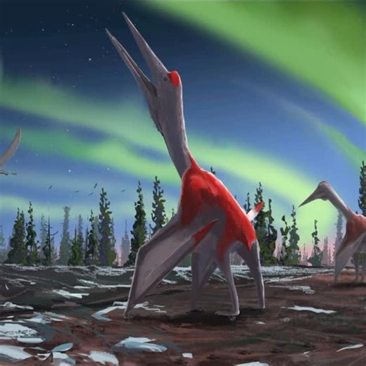 John (Not My Real Name) Dinosaur on Instagram: "CRYODRAKON Cryodrakon is a genus of azhdarchid pterosaur that lived during the late Campanian age of the Late Cretaceous period in what is now Canada, around 76.7 and 74.3 million years ago. Starting in 1972, fossil remains of large azhdarchid pterosaurs have been reported from Alberta. Paleontologists assigned them to the genus Quetzalcoatlus, given that it was the only known azhdarchid from North America back then and because they had limited inf