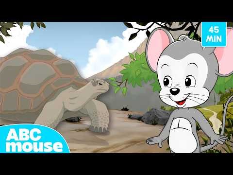 Discover Animals of the Galápagos 🦎🐦 | ABCmouse 45-minute Search & Explore Compilation for Kids
