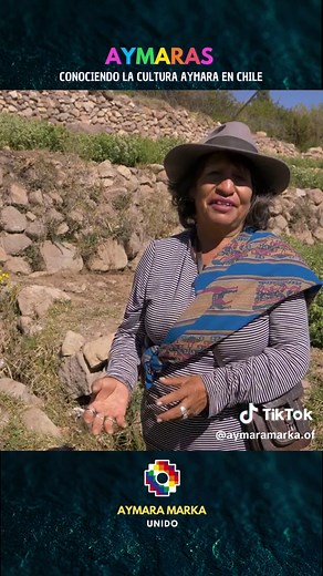Conociendo la cultura Aymara en Chile Parte 1. #aymara #aymaras #aymarasperu #aymarasbolivia #aymaraschile #culturaaymara #nacionaymara #soyaymara