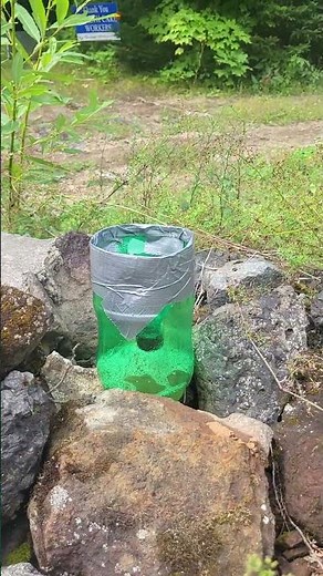 #9 Home Made Yellow Jacket Trap that works amazingly !