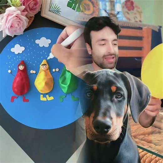 #dogs #cats #comedy #pets extended version