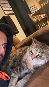 Why Cats Say "No" to Petting with Adorable Attitude🥰🐱💕 #cat #catsoftiktok #catlover #funny #funnyvideos #foryou #fypage #fypツ #funnycat #funnytiktok #catsofinstagram #funnyvideos #funnytiktok #foryou #fypage #funnycat #cat #fypツ #cats #Tommy #fypシ | Catheaven5