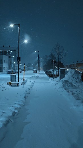 white winter nights #winter #weather #nature #snow #snowfall | Coldvisions