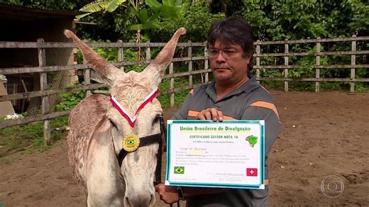 Jumento paga empresa e é diplomado como um dos melhores prefeitos do Brasil