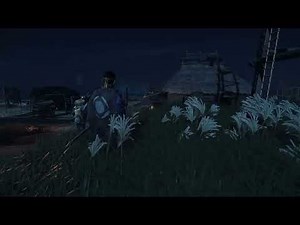 Ghost of Tsushima Bug (L2 and R2 release)