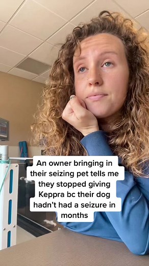 Keppra Withdrawal in Seizing Pets: What You Need to Know