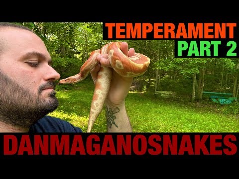 Episode 117: Temperament in snakes Part 2. How it can help us in the future of snake keeping