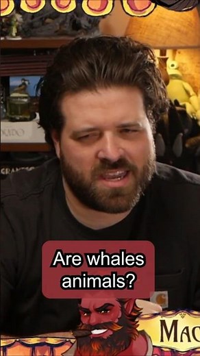Are Whales Animals??? 🐳🤣 #dnd #ttrpg #dnd5e