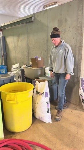 Meet Mars: The Adorable Pygmy Hippo Ready for You!