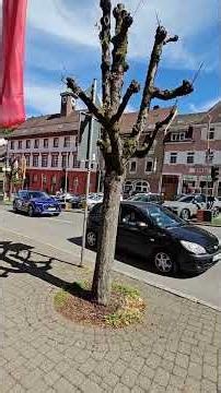 Triberg walking tour Germany