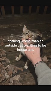 @anytimerealcore for more💖 Here are 9 reasons why life is beautiful and worth living: 1. Relationships with family, friends, and even strangers can bring love, support, and companionship, making life meaningful. 2. Every day offers an opportunity to learn, grow, and become a better version of yourself. Life’s challenges help you evolve and shape who you are. 3. The beauty of the natural world—from sunsets and mountains to oceans and forests—offers moments of peace, awe, and connection to someth