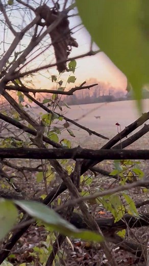 Congratulations Bella! Second deer ever ! Congrats to all the lucky youths in Ohio this weekend that had successful hunts!! I know Nathan Reed was stoked behind that camera ! | Whitetail Addicts