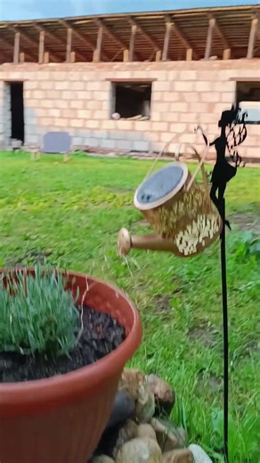 This is how we modestly decorate the garden little by little