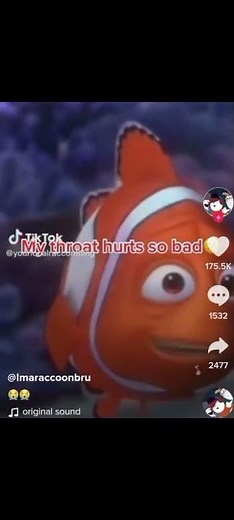 Finding Nemo sponge beds meme (TikTok)