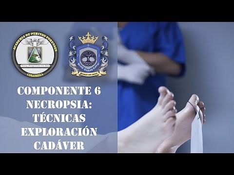 Componente 6 necropsia: Técnicas de exploración del cadáver.