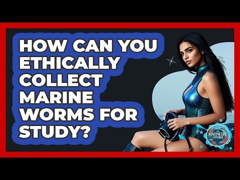 How Can You Ethically Collect Marine Worms For Study? - The Marine Life Explorer