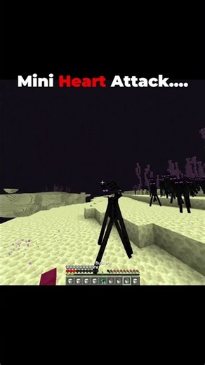 They Got Me In The End #minecraft