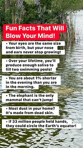360K views · 854 reactions | Fun Facts That Will Blow Your Mind! #FunFacts #MindBlown #DidYouKnow #CrazyButTrue #highlightseveryone | Filling Food from Home | Facebook