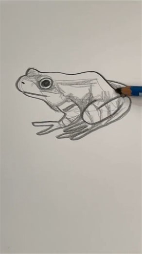 27K views · 1.4K reactions | Draw a frog  Easy drawing lesson for beginners on how to draw a frog. #drawinglesson #howtodraw | Mark Liam Smith | Facebook
