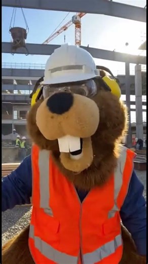 Beaver Fails 3 Construction #shorts #construction #funny