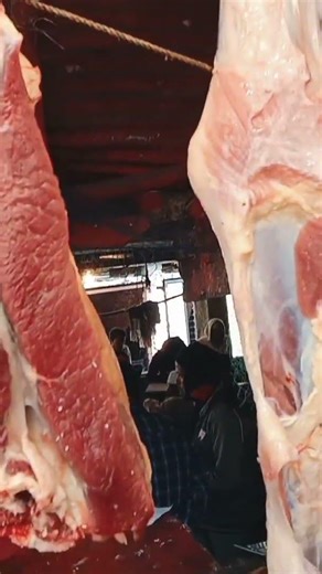 Against the Grain Explained! ...#Shorts