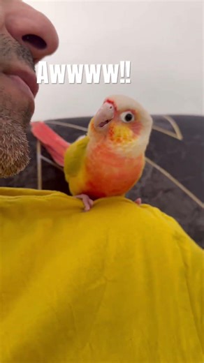 cocos daily kisses 💋 #blowup #4urpage #fypシ