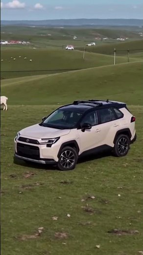 The Rugged RAV4 That Finally Went All-In #RAV4 #Hybrid #ToyotaHybrid